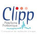 Logo CLIPP